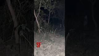 TERRIFYING ENCOUNTER Captured on camera!?  #scary #shorts #ghost