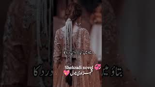 Most romantic novel in Urdu WhatsApp status video|bold romance video #romanticmoments #shahzadinovel