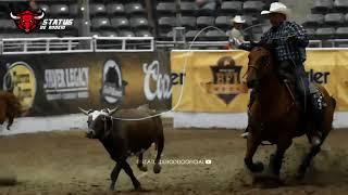 VÍDEO DE RODEIO PARA STATUS | PBR MINI EDIT | STATUS DE RODEIO