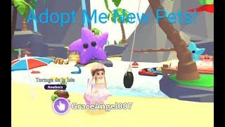 Adopt Me Update! New Turtle Pet, Lobster & Leviathan! How To Play Crabby Grabby Minigame