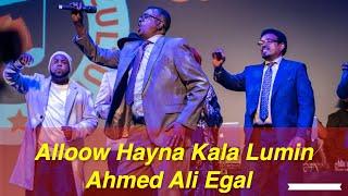 Axmed Cali Cigaal - Alloow Hayna Kala Lumin - Somali Week Festival 2024