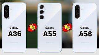 Samsung Galaxy A36 Vs Samsung Galaxy A55 Vs Samsung Galaxy A56 5G  Quick Comparison