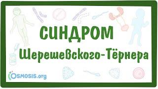 Синдром Шерешевского-Тёрнера — [моносомия X-хромосомы XО] — причины, симптомы, даигностика, лечение