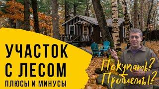 Участок в лесу. Минусы лесных участков для ИЖС