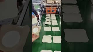 Medical Plaster Manufacturing Cutting-Edge Solutions: Rotary Die Cutter (Precision and Efficiency)