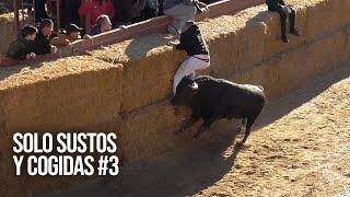 Toros Bravos Solo Sustos y Cogidas #3