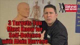 3 Targets You Must Know for Self Defense with Alain Burrese