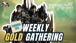 WEEKLY GOLD GATHERING IN LOST ARK | FARMING TIPS