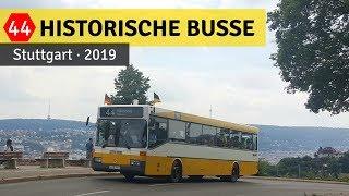 Nostalgie mit Aussicht: In historischen Bussen zum Killesberg | Bus Stuttgart | 2019