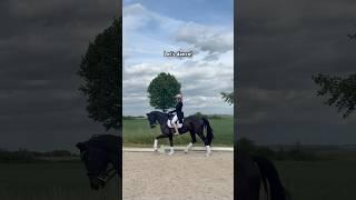 What a feeling  #horse #equestrianjourney #short