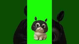 小猫動畫#green#screen#特效 #綠幕 #cute #合成 #動畫#funny #素材