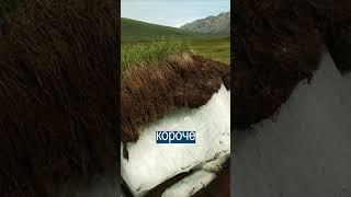 Самый древний вирус разморозили в Сибири