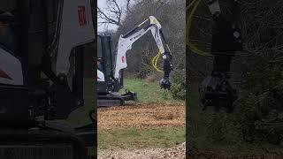 Just a Bobcat cruising about #forest #forestry