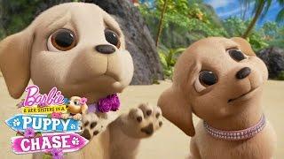 Cute Puppy Eyes | Barbie & Her Sisters in a Puppy Chase | @Barbie