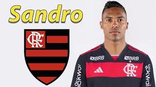 Alex Sandro ● Bem-vindo ao Flamengo  Best Skills, Tackles, Goals & Passes