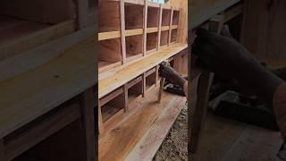 Making two floors inside the pigeon house #pigeon #голубь #kalapati #حمامة #pomba #woodwork #pet