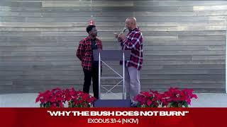 Why The Bush Does Not Burn