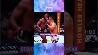 JUST NATE DIAZ #shorts #ufc #popmma #mma