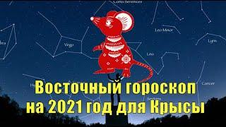 Восточный гороскоп на 2021 год для Крысы.