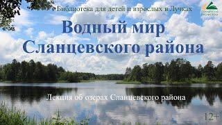 Водный мир Сланцевского района