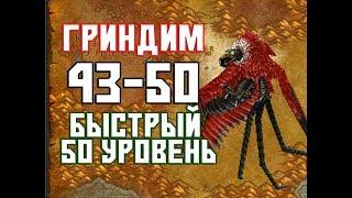 Быстрая прокачка в WoW Classic [43-50] уровень | Гринд #3