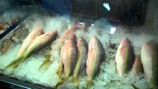 LA CAMARONERA  SEAFOOD MARKET MIAMI VIDEO REVIEWS OF GUARANTEED BEST PLACES TO EAT CHEAPLY