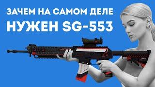 ЗАЧЕМ НУЖЕН SG-553 ИЗ CS GO В РЕАЛЬНОЙ ЖИЗНИ