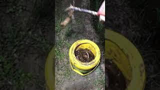Best Eel Fishing Movie videos, With Phann Phuy Fishing