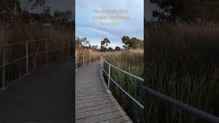 Heathdale Glen Orden Wetlands