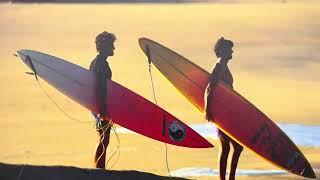 Vintage Surfboard Collector Club at Daydream Surf Shop - Newport Beach, CA - 2024
