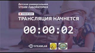 Вебинар ДЕТСКАЯ УНИВЕРСАЛЬНАЯ STEAM-ЛАБОРАТОРИЯ: инновационные перспективы реализации ФГОС.17.10.19