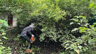 Strange Sounds While Cleaning the House Vegetation Covering the Garden Foot Sawing Part 1