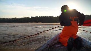 Глобальное потепление убивает Балтийское море