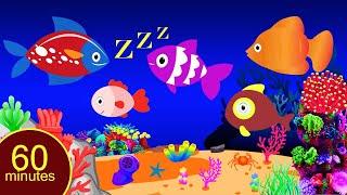 Bedtime Lullabies and Calming Undersea Animation Baby Lullaby#Baby sleep music stv#08