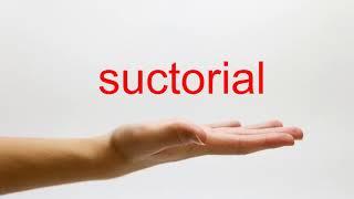 How to Pronounce suctorial - American English