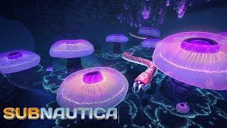 Subnautica 2020 Возвращение в лавовый биом #24