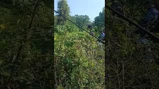 lintas komunitas angler sumatra selatan