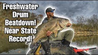 Freshwater Drum Beatdown near state record!!!