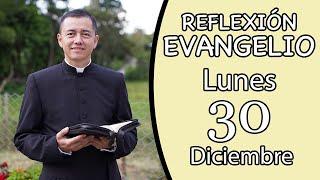 Evangelio de Hoy Lunes 30 de Diciembre de 2024  Lectura y Reflexión