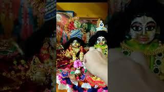 #goplu #sona #laddu #gopal #shorts #video #gopalseva #ytshorts #viral