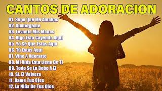 PODEROSAS ALABANZAS CRISTIANAS ADORACION - MUSICA CRISTIANA DE ADORACION PARA ORAR -MUSICA CRISTIANA