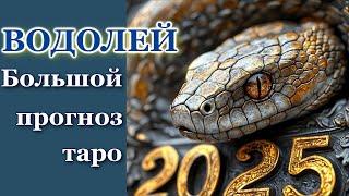 ВОДОЛЕЙ - ТАРО ПРОГНОЗ 2025 год- ГОДОВОЙ ПРОГНОЗ, ГОРОСКОП на 12 СФЕР ЖИЗНИ- НОВОГОДНИЙ ПРОГНОЗ 2025