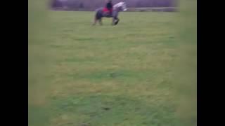 Riding Ely