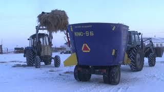 Кормораздатчик КИС 9Б испытания на Алтайской МИС