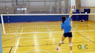 Hitting Tips - Terry Liskevych - The Art of Coaching Volleyball