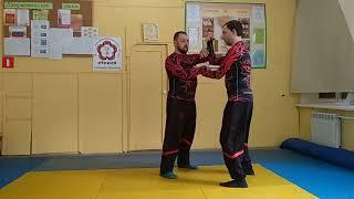 Stikhiya Wing Chun.  Для чего нужен "бон  сао".