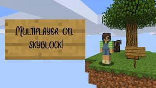 HOW TO PLAY SKYBLOCK ON YOUR MULTIPLAYER SERVER! | Minecraft