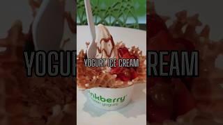 Yogurt Ice cream lotus flavor #shortvideo #fypシ゚ #yogurt #pinkberry