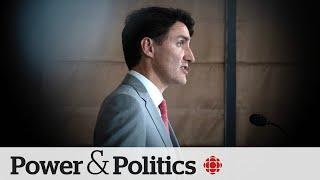 Tensions growing among Liberal MPs | Political Pulse Panel