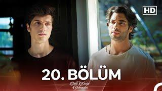 Tatlı Küçük Yalancılar 20. Bölüm (FULL HD)